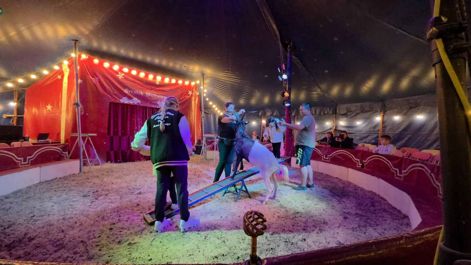 Circus Rocky „Kindertraum“ gastiert im August in mehreren Orten der Region. (Bild: Jonny Schubert)