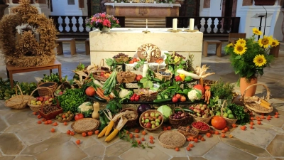Der Erntedankaltar 2025 in der Ensdorfer Pfarrkirche wurde vom OGV Heimaterde Ensdorf gestaltet. (Bild: Regina Günther)