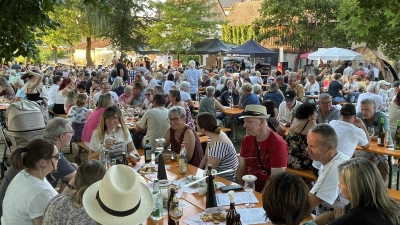 Stimmungsvolle Atmosphäre am Stadtweiher Auerbach.  (Bild: Klaus Riede)