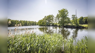 Charlottenhofer Weihergebiet. (Bild: Thomas Kujat)