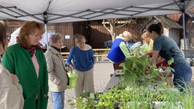 Eine große Auswahl erwartete die Gartenfreunde bei der Pflanzentauschbörse (Bild: Gabriela Bäumler)