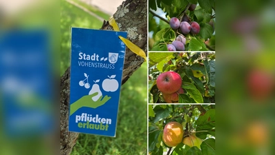 Aktion „Gelbes Band” (Bild: Lisa Scheck)