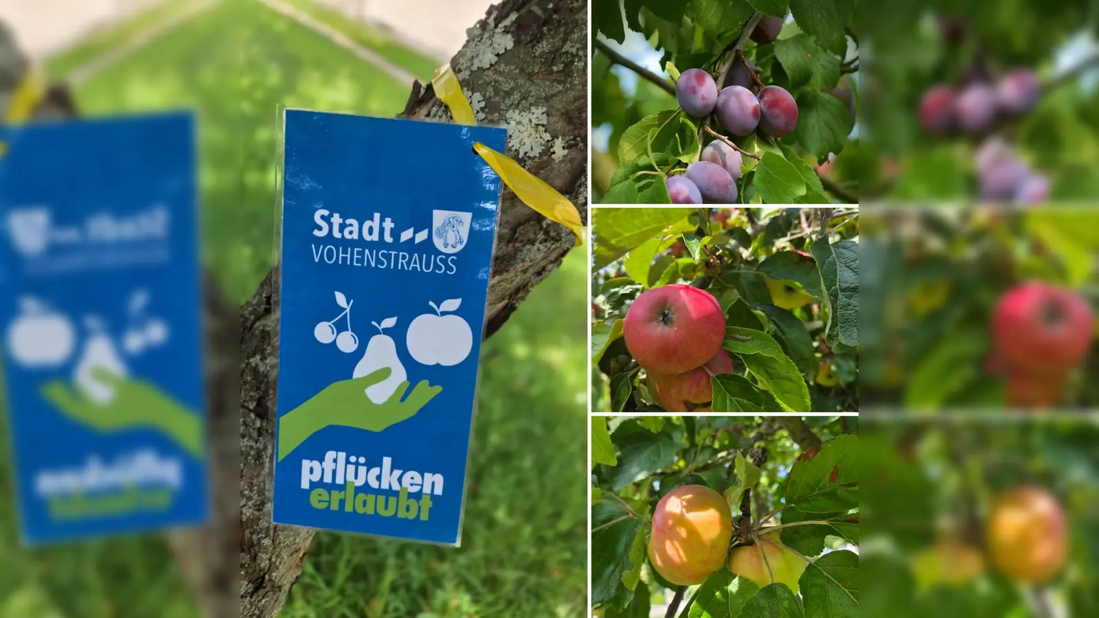 Aktion „Gelbes Band” (Bild: Lisa Scheck)