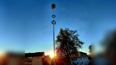 Der Spielberger Maibaum 2026. (Bild: Franz Völkl)