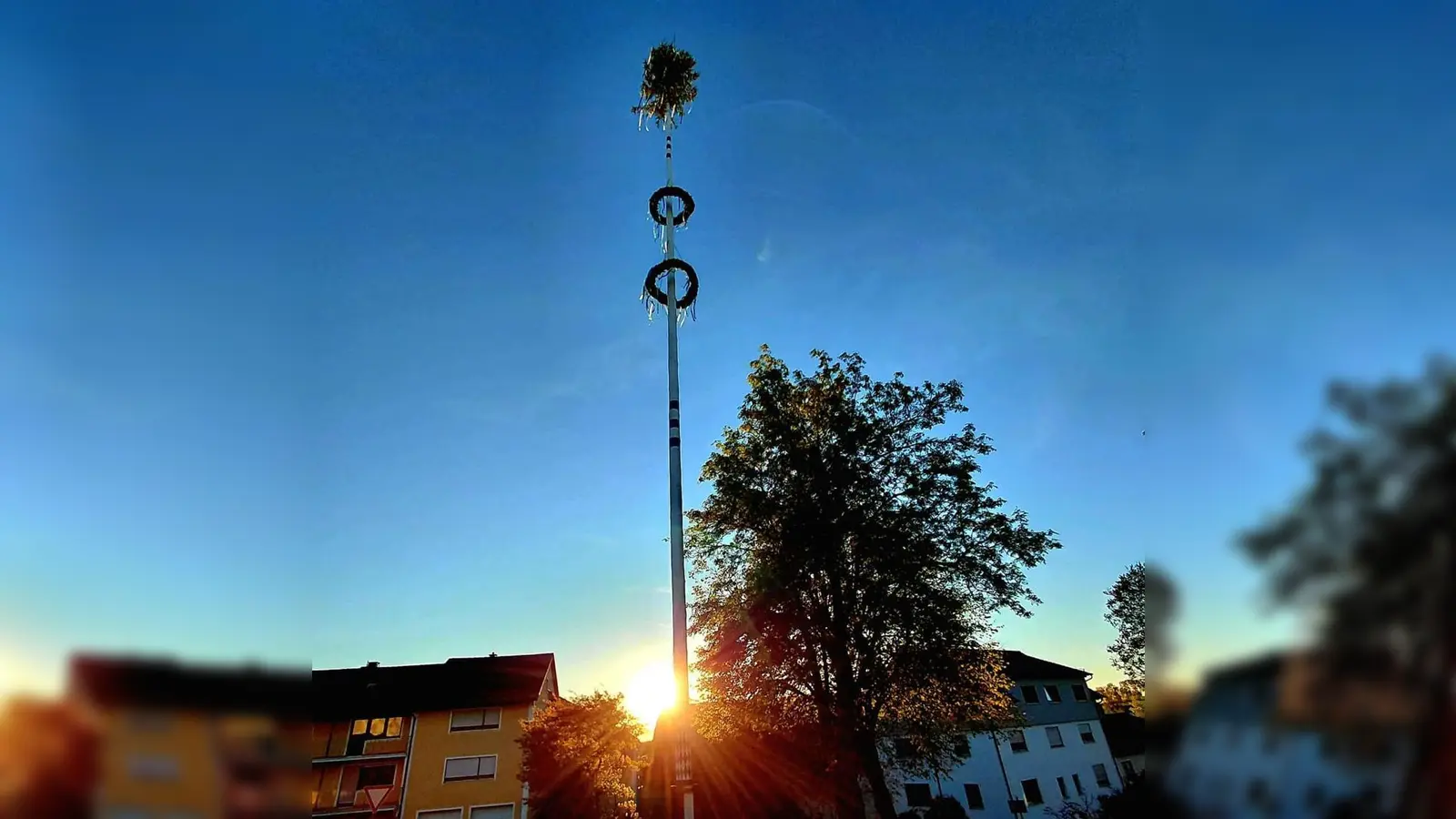 Der Spielberger Maibaum 2026. (Bild: Franz Völkl)
