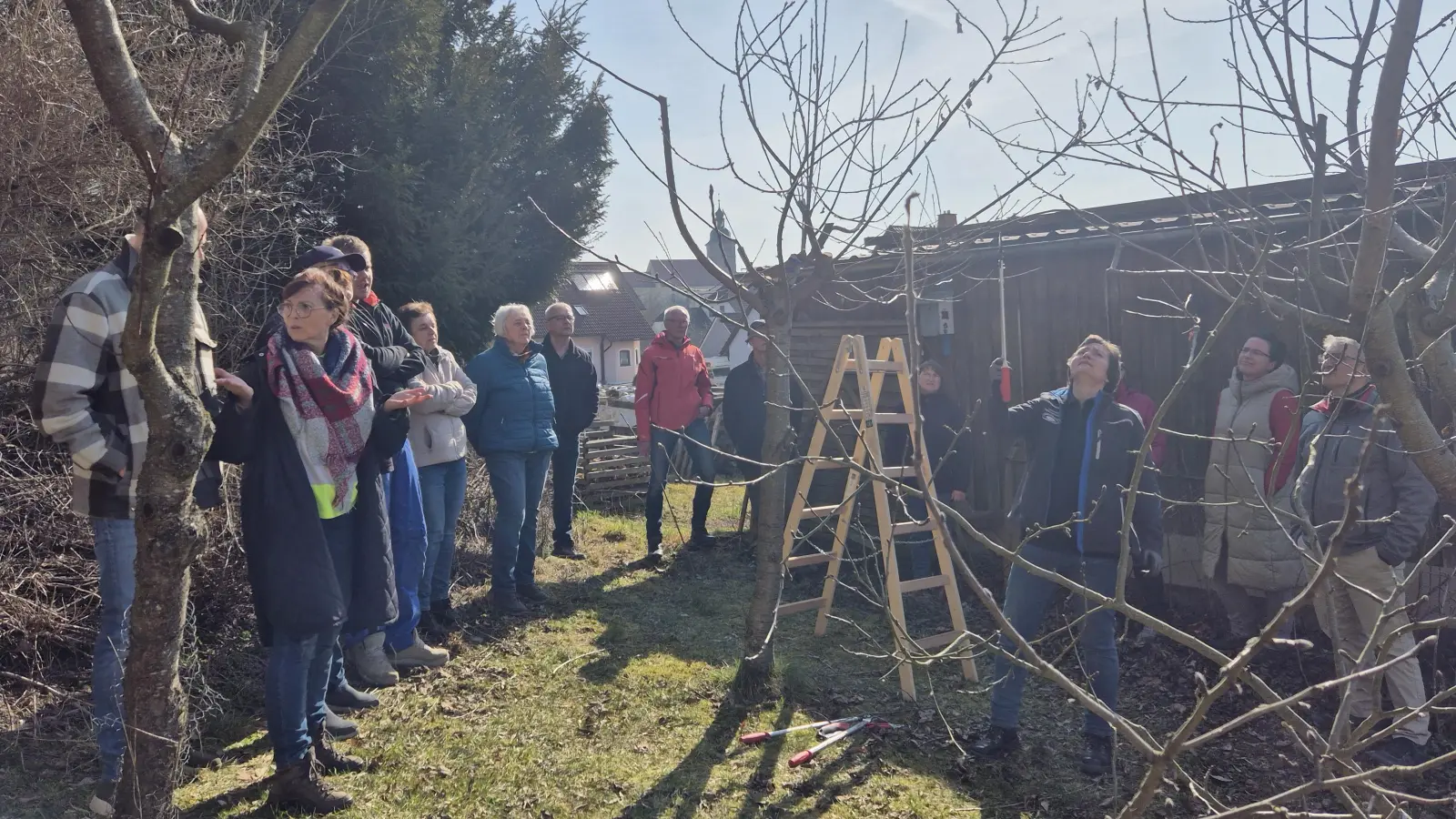 Obstbaumschnittkurs in Waldeck.  (Bild: Gerlinde Wagner)