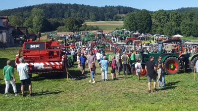 Viele Besucher und zahlreiche Oldtimer kamen zum Backofenfest in Prönsdorf zusammen. (Bild: Theresia Guttenberger)