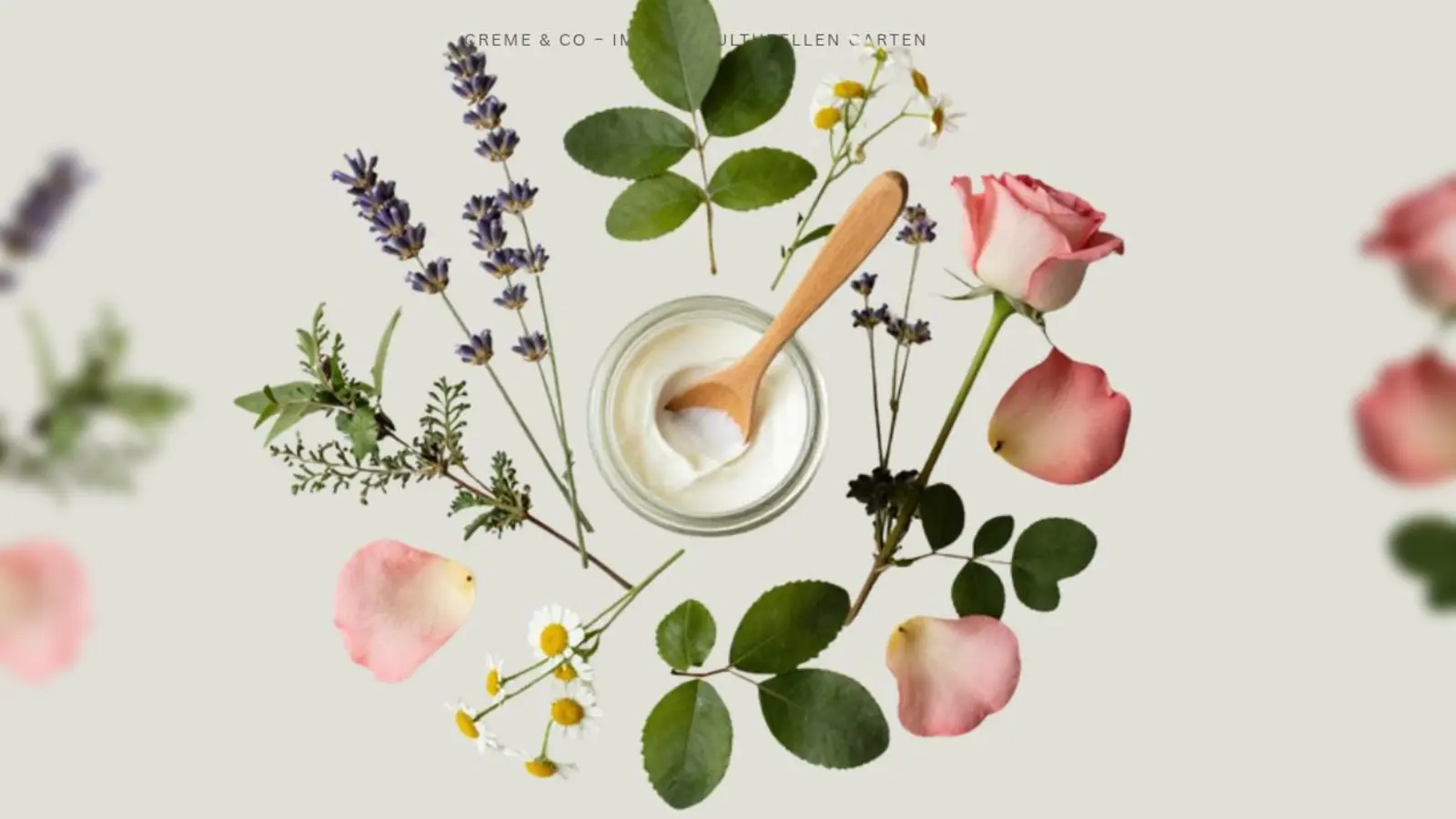 Gutes aus dem Garten zur Creme verarbeiten. (Bild: Astrid Knab)