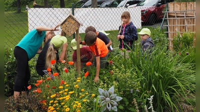 Die erste Station führte die Kinder zum Insektenhotel! (Bild: Gerd Neumann)