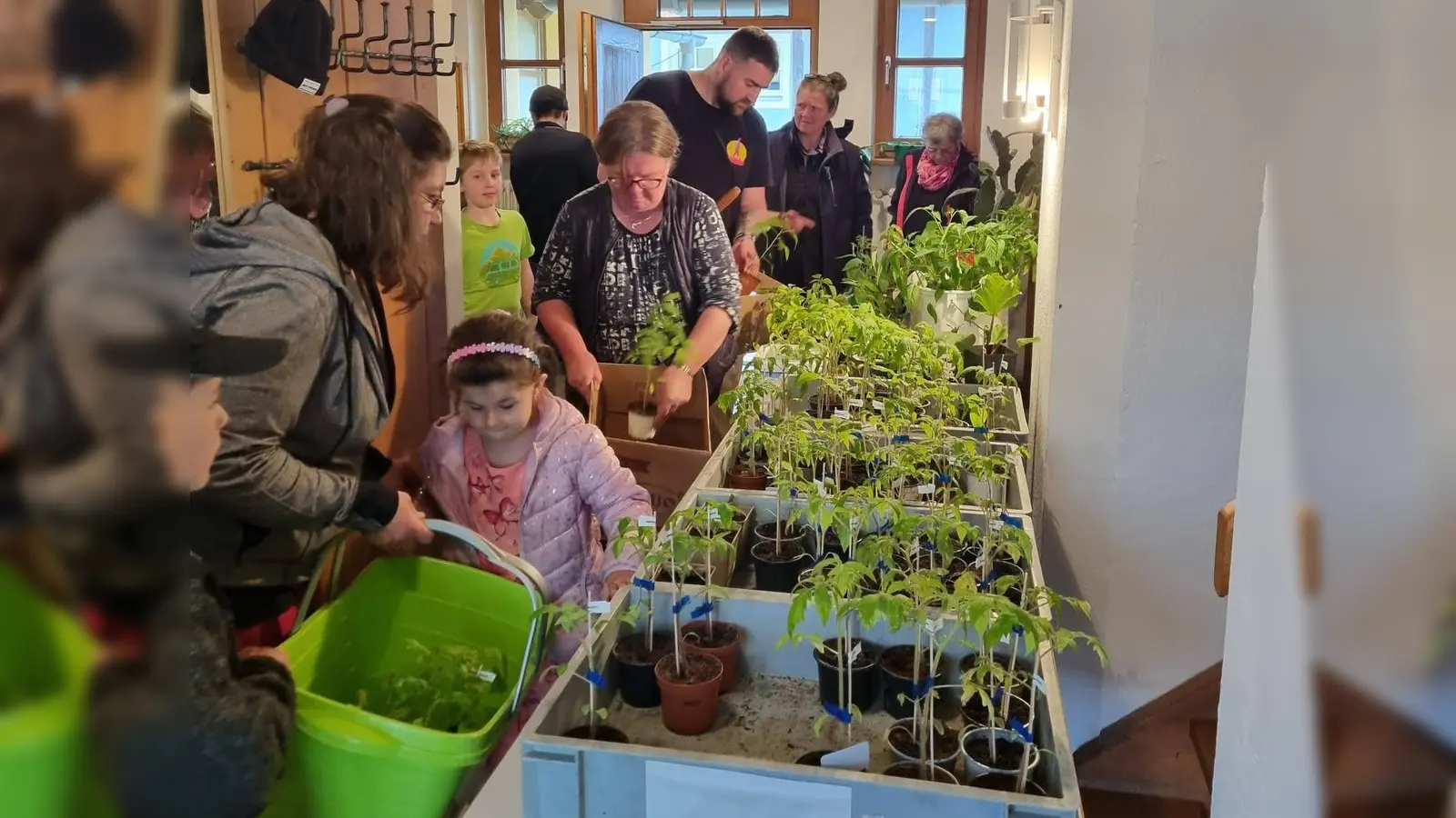 Dicht drängten sich die Besucher an die reichlich gedeckten Tische mit den Jungpflanzen, die der Gartenbauverein vorbereitet hatte.  (Bild: Jasmin Brandl)