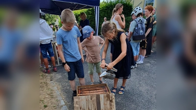 Auf großes Interesse stieß bei Kindern wie Erwachsenen das Bienenvolk, das seit den Pfingstferien im Schulgarten zu Gast war. Sie inspizierten u.a. die Wabenrähmchen in einem (selbstverständlich) leeren Bienenkasten. (Bild: Maria-Teresa Kellner)