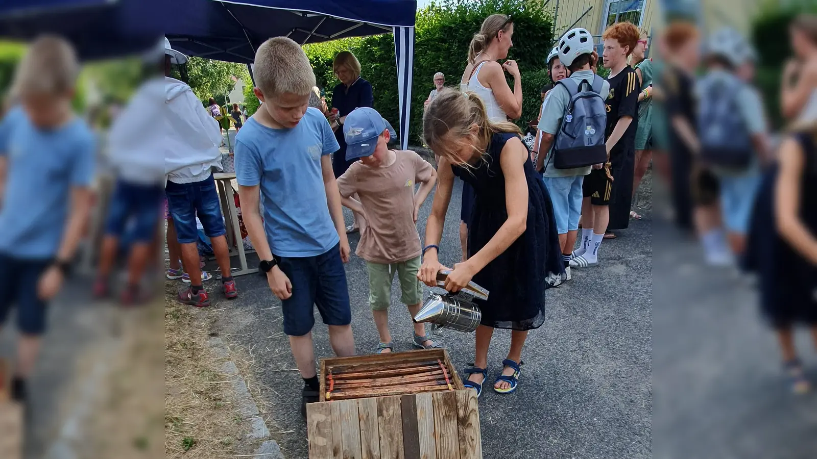 Auf großes Interesse stieß bei Kindern wie Erwachsenen das Bienenvolk, das seit den Pfingstferien im Schulgarten zu Gast war. Sie inspizierten u.a. die Wabenrähmchen in einem (selbstverständlich) leeren Bienenkasten. (Bild: Maria-Teresa Kellner)