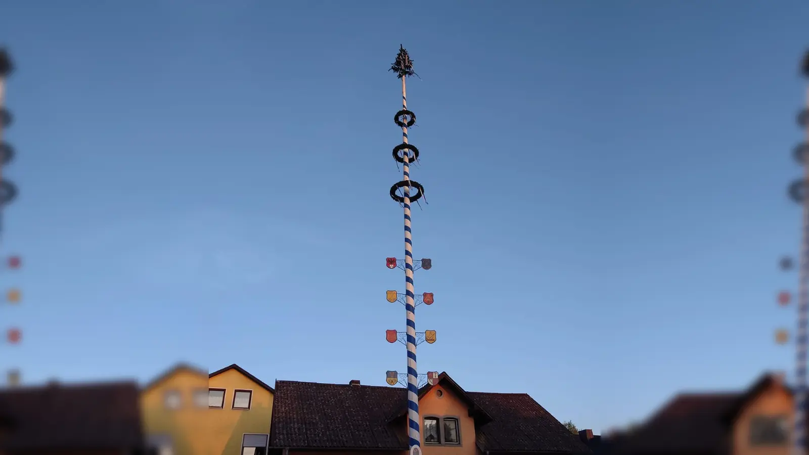 Maibaum des OWV Waldthurn (Bild: Roman Bauer)