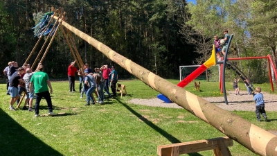 unter Anleitung von Markus Helldörfer hievten die Helfer mit 4 Schwalben den Baum in die Senkrechte.  (Bild: Gertrud Schleicher)
