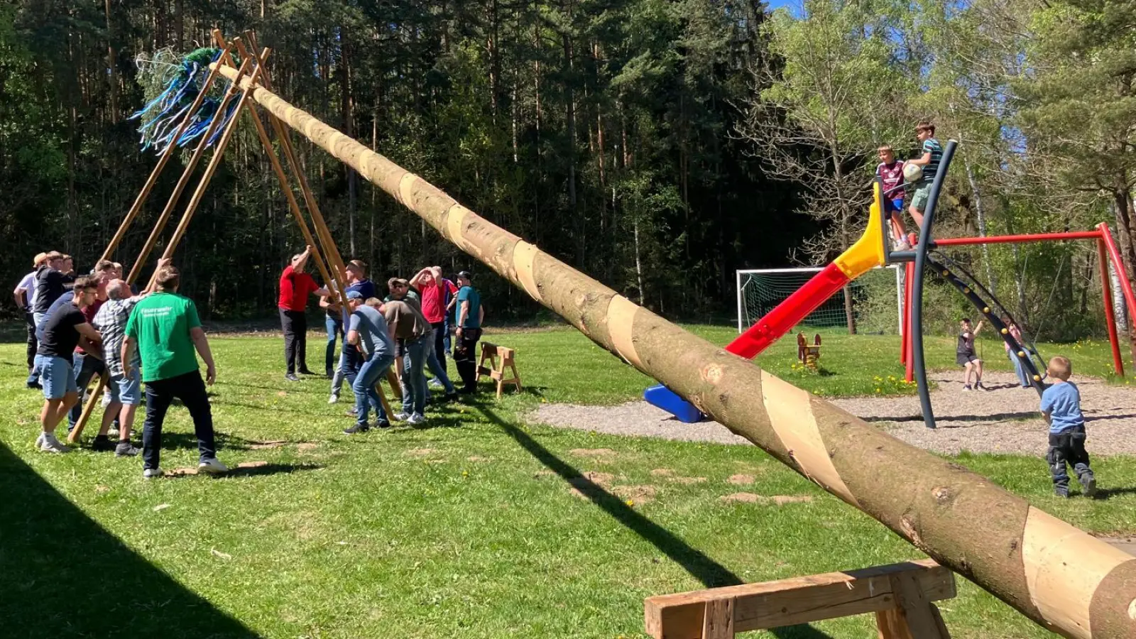 unter Anleitung von Markus Helldörfer hievten die Helfer mit 4 Schwalben den Baum in die Senkrechte.  (Bild: Gertrud Schleicher)