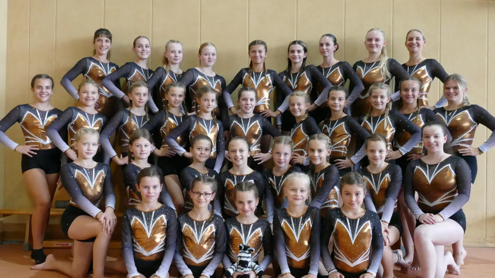 Die Turnerinnen des SVSW Kemnath beim Bayernpokal Gauentscheid (Bild: Larissa Wegmann)