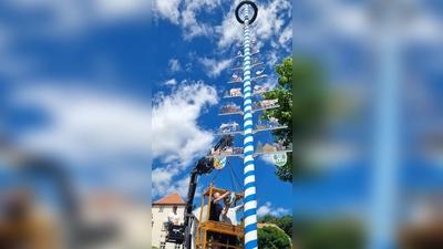 Mit einem Kranwagen wurde der Zunftbaum aufgestellt. (Bild: Michael Bartmann)