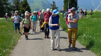 Der Bay. Waldverein Sektion Amberg unternahm eine 5-tägige Wanderreise nach Südtirol. (Bild: Maria Honig)