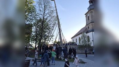 Die 40- Meter- Marke wurde in Oberbibrach auch heuer wieder übertroffen. Zum Aufstellen dienten wie immer lediglich Muskelkraft und Schwalben.  (Bild: Dominik Eckert)