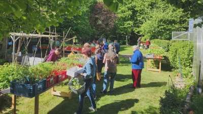 Viele Gartenfreunde besuchten die Pflanzenbörse des Trabitzer Obst- und Gartenbauvereins in Weihersberg. (Bild: Bernhard Piegsa)