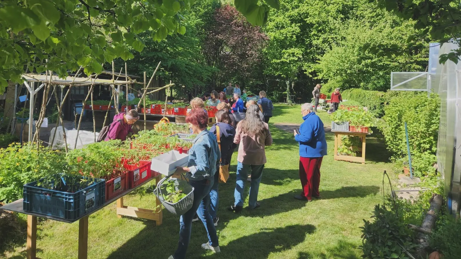 Viele Gartenfreunde besuchten die Pflanzenbörse des Trabitzer Obst- und Gartenbauvereins in Weihersberg. (Bild: Bernhard Piegsa)