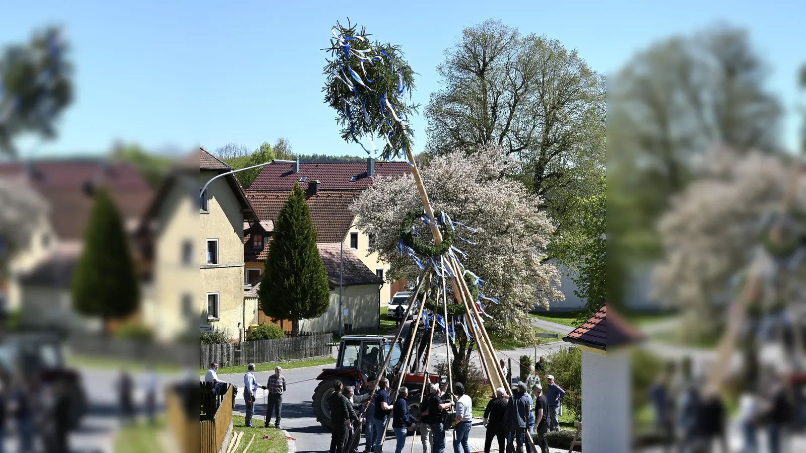 In althergebrachter Manier wurde in Vöslesrieth der Maibaum aufgestellt. Hierbei packten die Feuerwehrmänner und Helfer, einschließlich 1. Bürgermeister Werner Rieß, mit an. (Bild: Sarah Gaab)