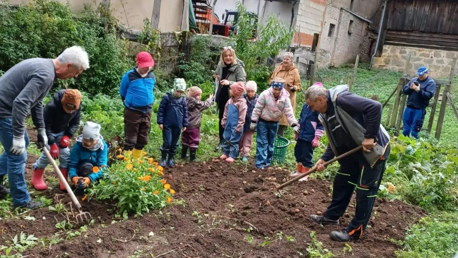 Mit Feuereifer waren die Kinder beim Kartoffelgraben dabei.  (Bild: Norbert Oder )