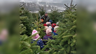 Mit Bernhard Kammerer waren die Kindergartenkinder im Weihnachtswald unterwegs.<br> (Bild: Sabine Götz)