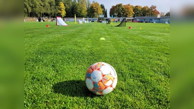 Grundschulaktion  (Bild: Manuel Petratschek )