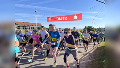 Ab 19. März können sich Teams für den Landkreislauf Amberg-Sulzbach anmelden. Ein Team besteht aus 11 Läuferinnen oder Läufern – auch gemischte Teams sind möglich.  (Bild: Christine Hollederer)