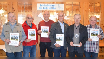 Die Geehrten der RV Amberg 2025 v.l. Michael Niedermeier, Werner Troidl, Richard Dötterl, Walter Schlenk, Georg jun. Eichenseer, Helmut Scharl. (Bild: Georg Eichenseer)