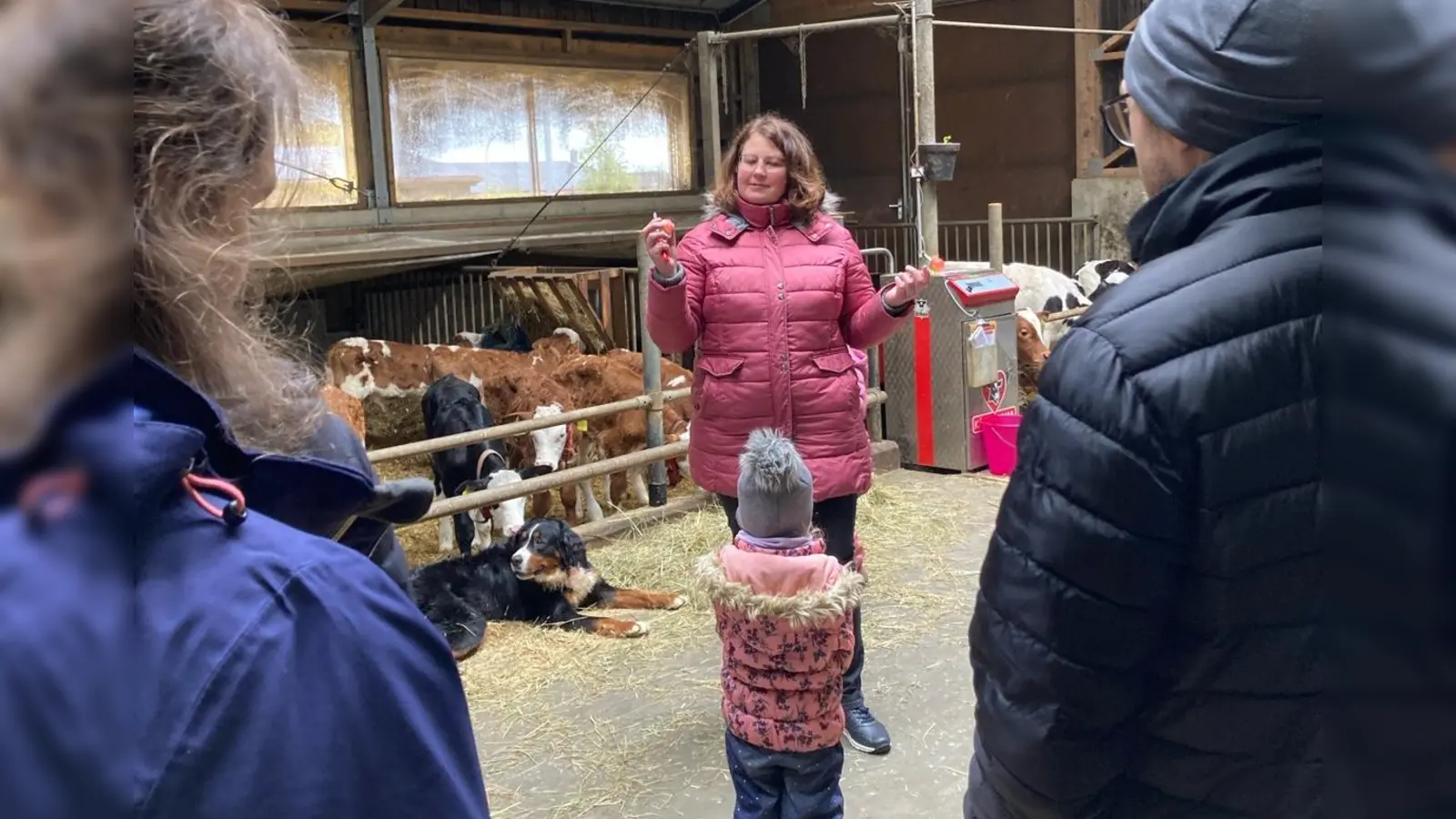 Die Buben und Mädchen des BRK-Kindergartens Tirschenreuth besuchten mit ihren Eltern den Wallerhof. (Bild: Kinderhaus Weltentdecker/exb)