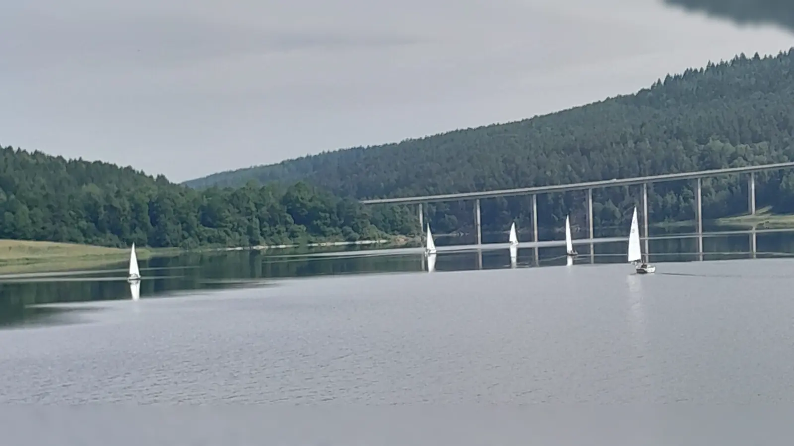Jubiläumsregatta 50 Jahre NYCE. (Bild: Klaus Leitenberger)