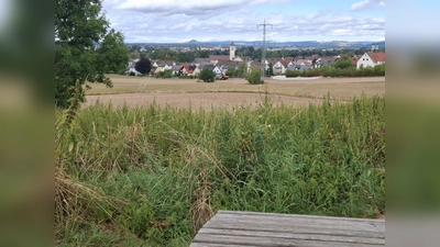 Bis zum Parkstein und hinauf in den Steinwald reicht der Ausblick nahe Station 1 bei der Weinwanderung 2.0 rund um Schirmitz.  (Bild: ise)
