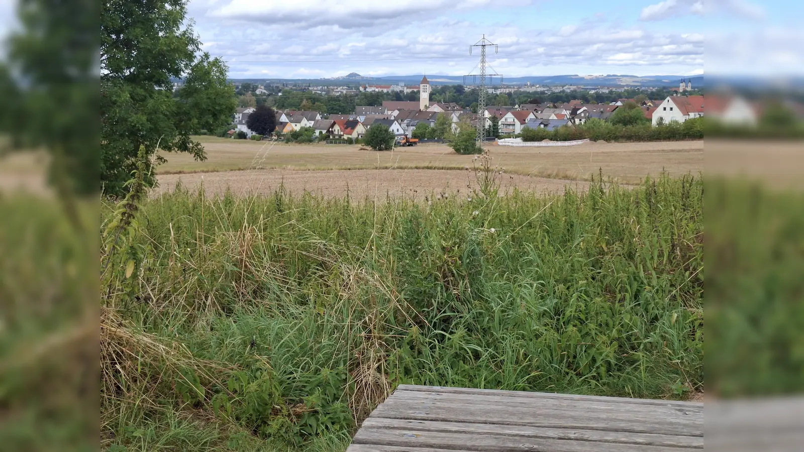 Bis zum Parkstein und hinauf in den Steinwald reicht der Ausblick nahe Station 1 bei der Weinwanderung 2.0 rund um Schirmitz.  (Bild: ise)