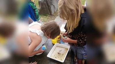 Die Kinder untersuchten die Wasserproben mit einer digitalen Lupe.  (Bild: Ronja Storch)