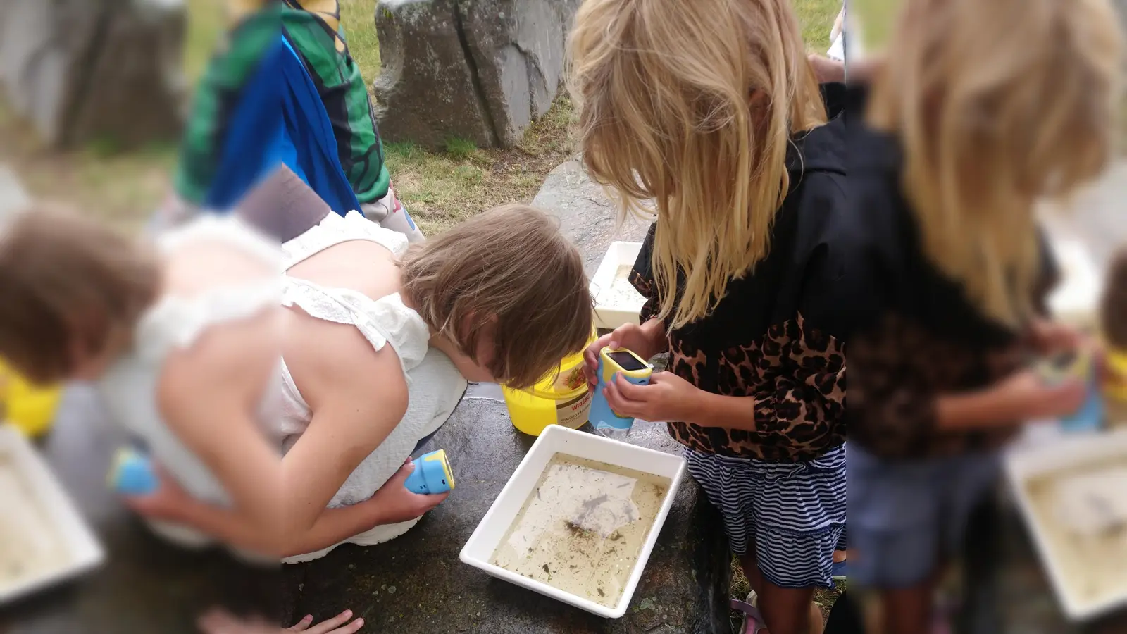 Die Kinder untersuchten die Wasserproben mit einer digitalen Lupe.  (Bild: Ronja Storch)