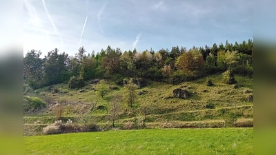 Naturpark Hirschwald (Bild: Claudia Straller)