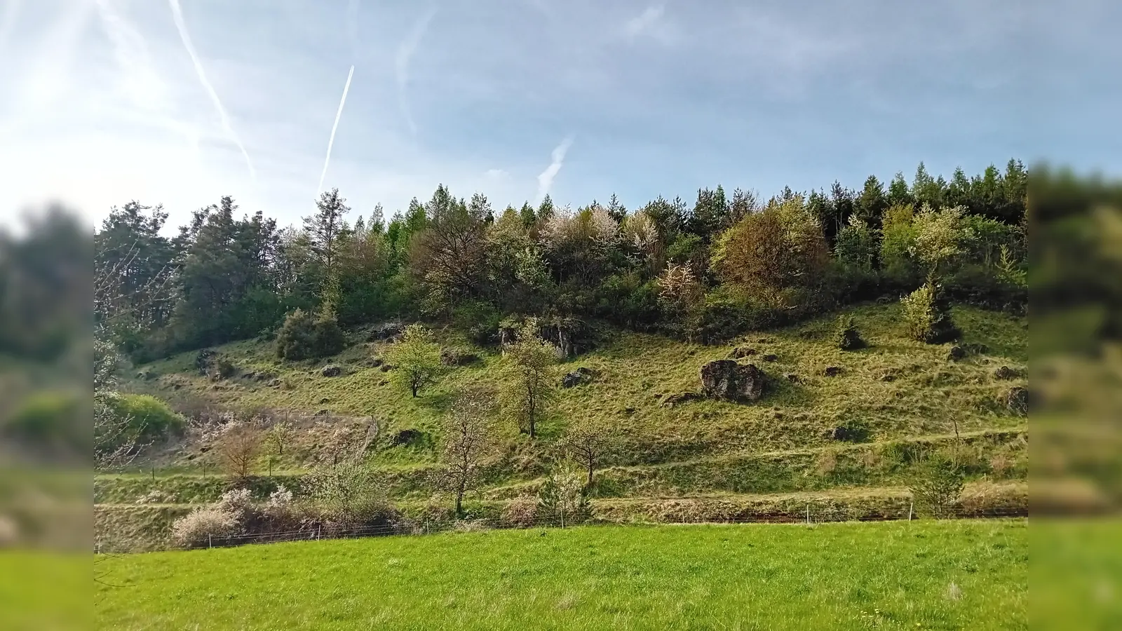 Naturpark Hirschwald (Bild: Claudia Straller)