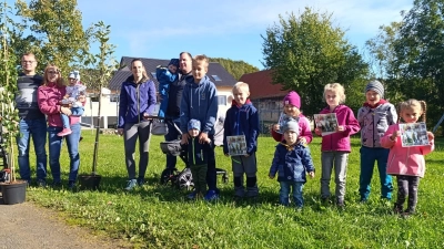 Sonnenblumenwettbewerb  (Bild: Tamara Salomom)