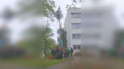 Der Maibaum wurde mit viel tatkräftiger Unterstützung beim BRK Haus Ziegelanger in Tirschenreuth aufgestellt.  (Bild: Sabine Grillmeyer)