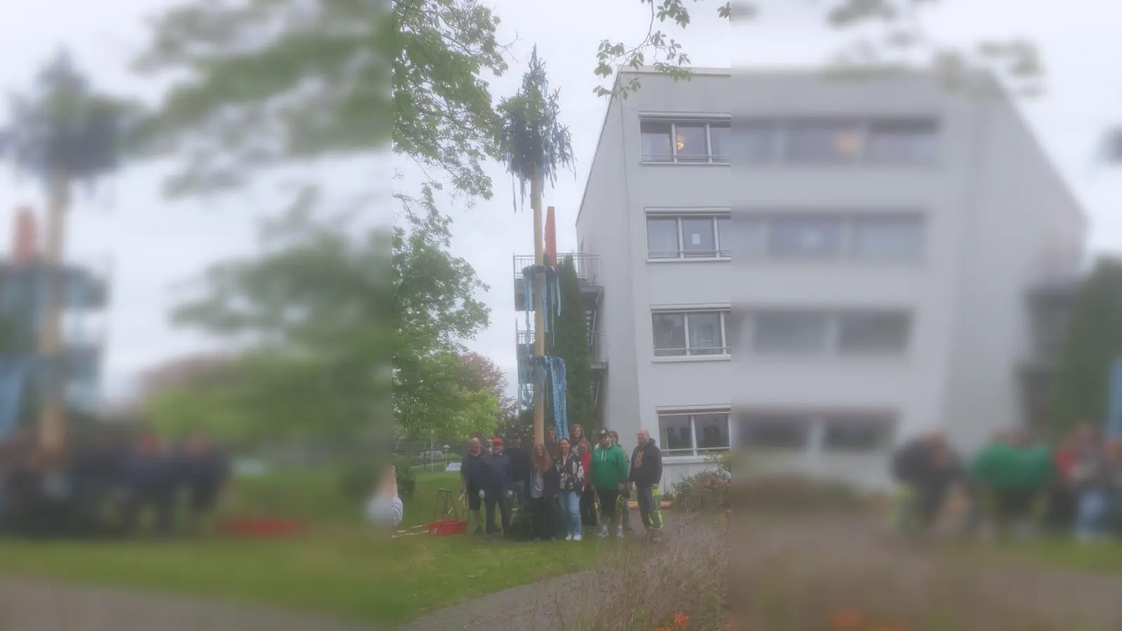 Der Maibaum wurde mit viel tatkräftiger Unterstützung beim BRK Haus Ziegelanger in Tirschenreuth aufgestellt.  (Bild: Sabine Grillmeyer)