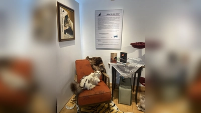 Einblick in die Sonderausstellung „Alles für die Katz”.  (Bild: Andrea Liebl)
