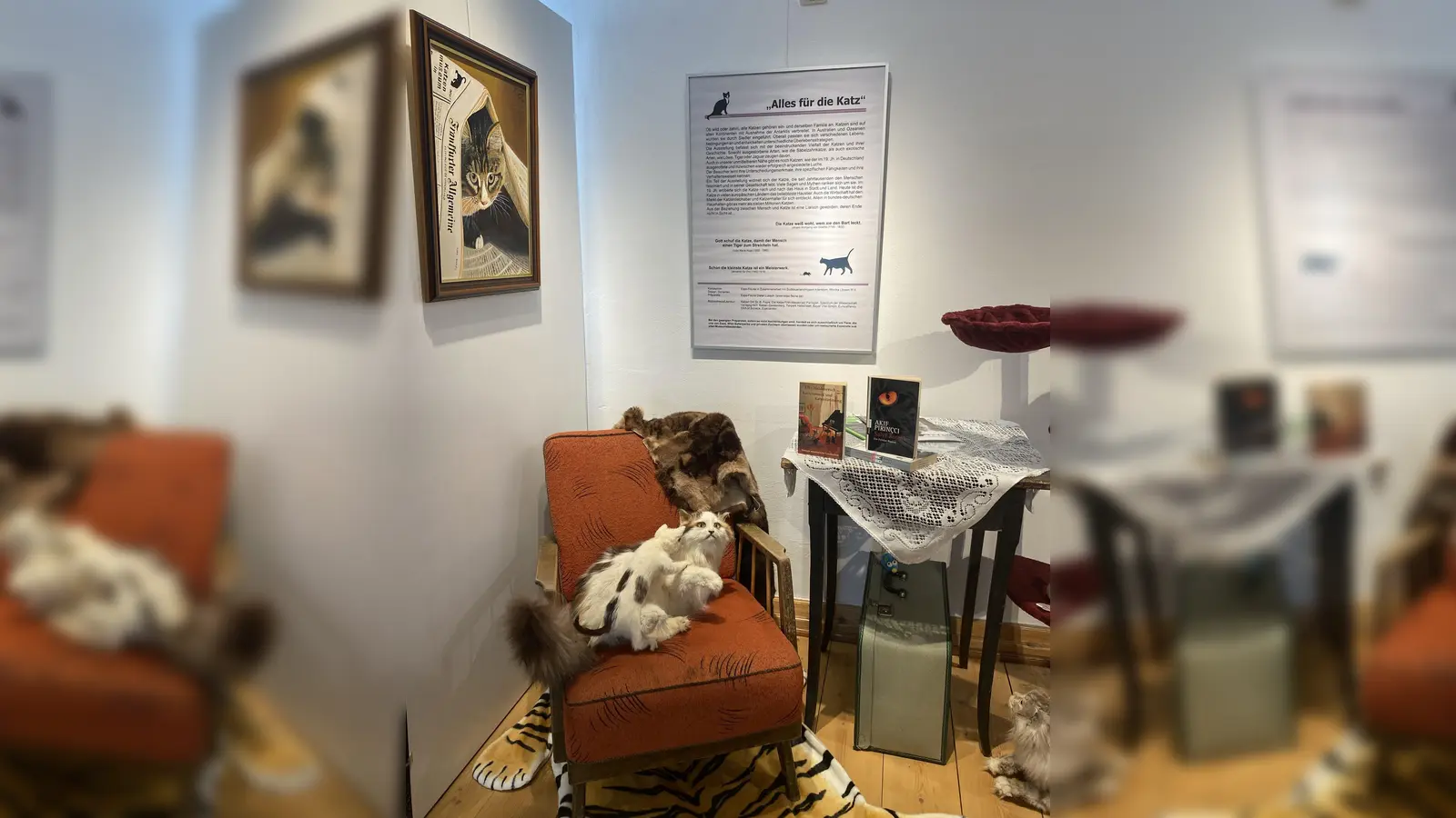 Einblick in die Sonderausstellung „Alles für die Katz”.  (Bild: Andrea Liebl)