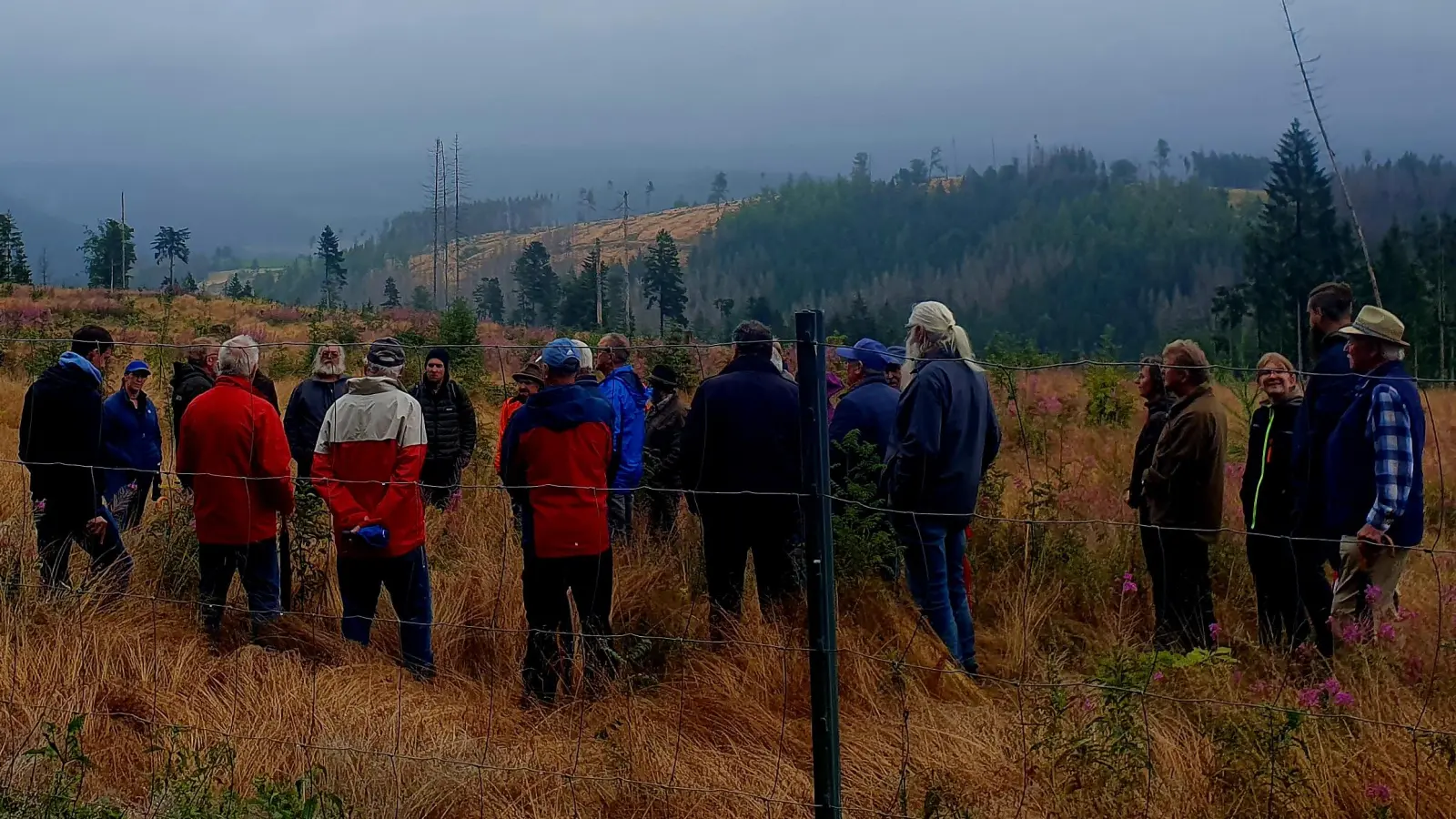 Mit der Forstbetriebsgemeinschaft informierten sich 30 Waldbesitzer im Frankenwald (Bild: Andreas Punzmann)