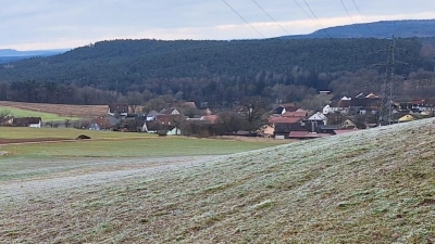 Alles in Ordnung im Jagdgebiet Steinling. (Bild: Ingrid Scharf)