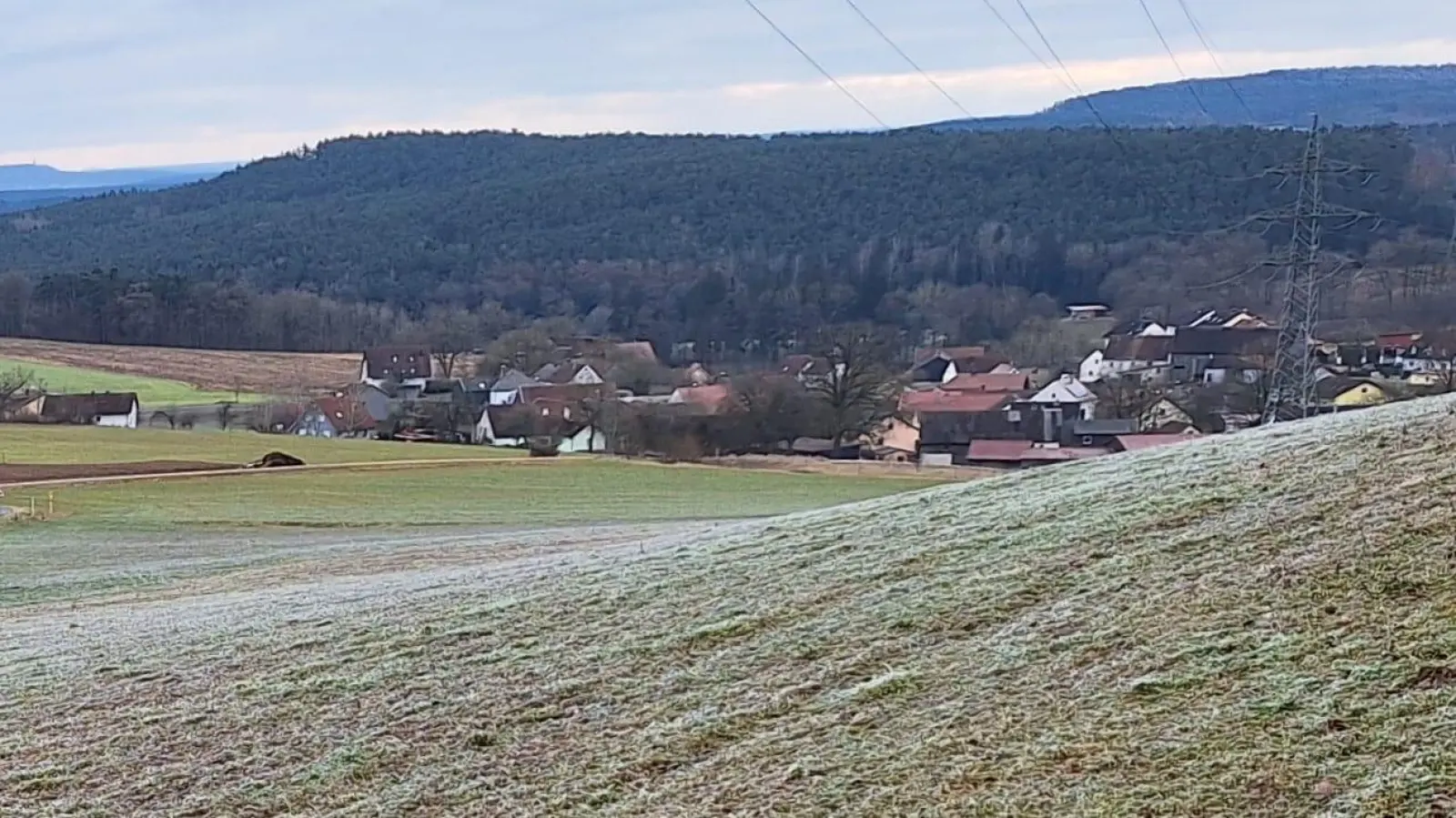 Alles in Ordnung im Jagdgebiet Steinling. (Bild: Ingrid Scharf)