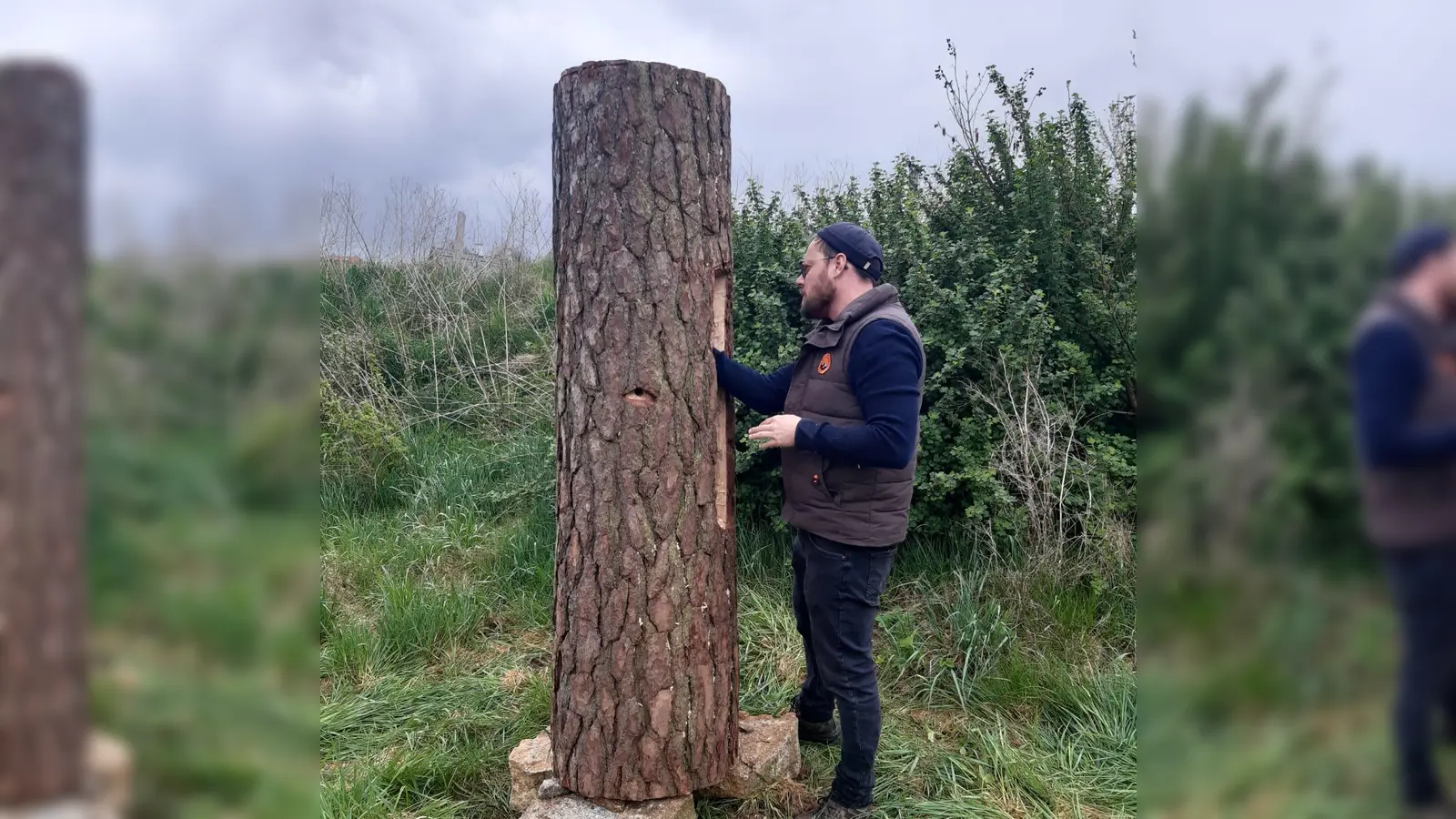 Bienen im Geschichtspark. (Bild: Elisabeth Stadler)