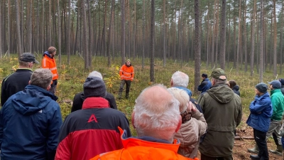 In einem geeigneten Waldstück erklären die AELF-Förster Andreas Arnold (links) und Martin Gottsche (rechts) die Folgen des Klimawandels bei der Kiefer. (Bild: Judith Weigl)