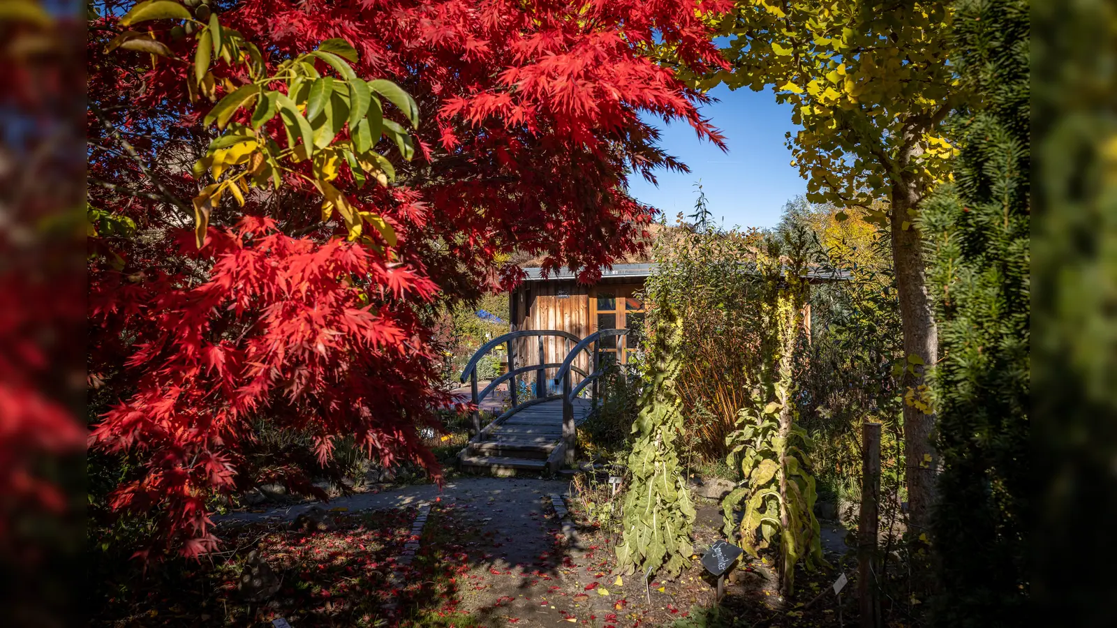 Kloster- und Naturerlebnisgarten Waldsassen (Bild: Tanja Schedl)